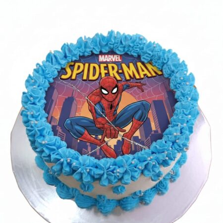 Spiderman Picture Cake